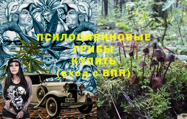 дживик Балахна