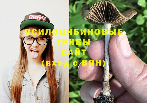 ECSTASY Балабаново