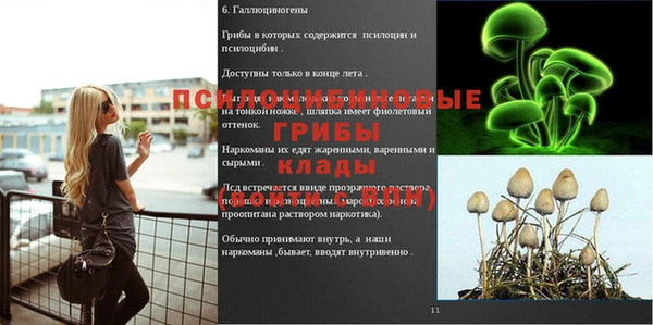дживик Балахна